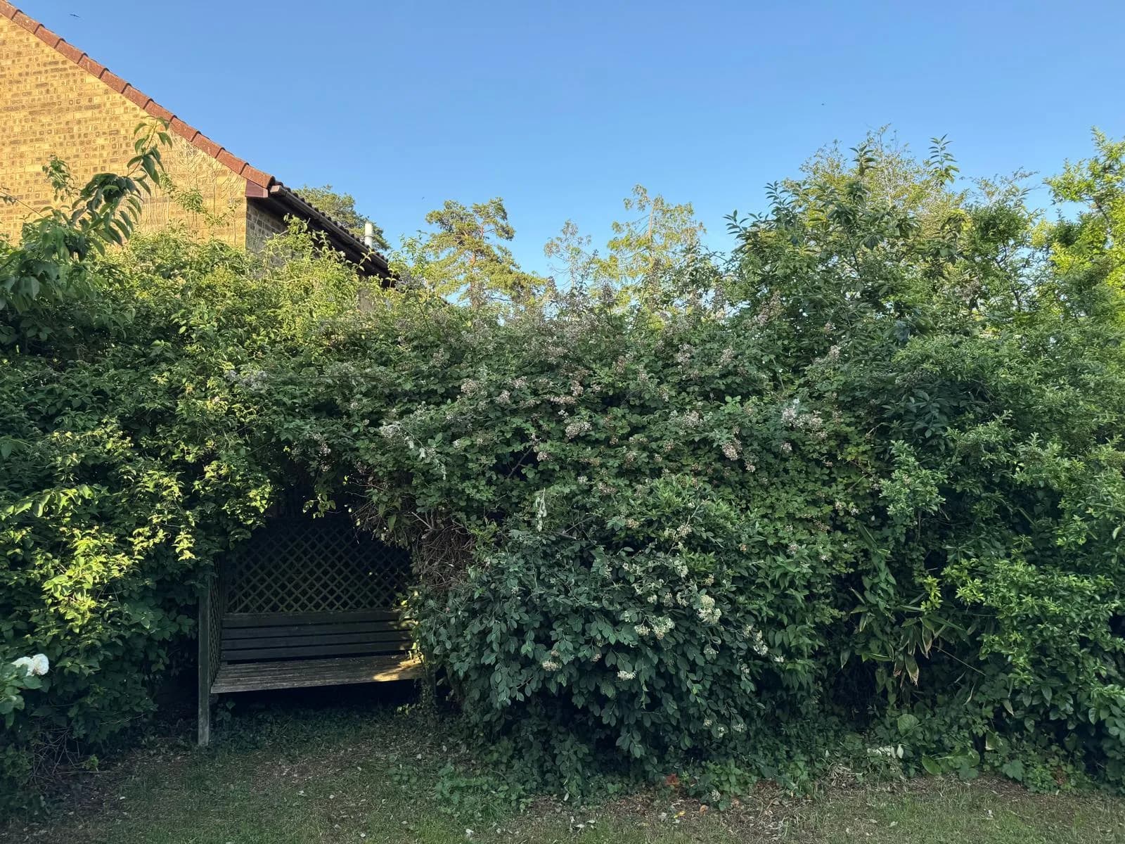 3-Bed House for Rent, photo 2