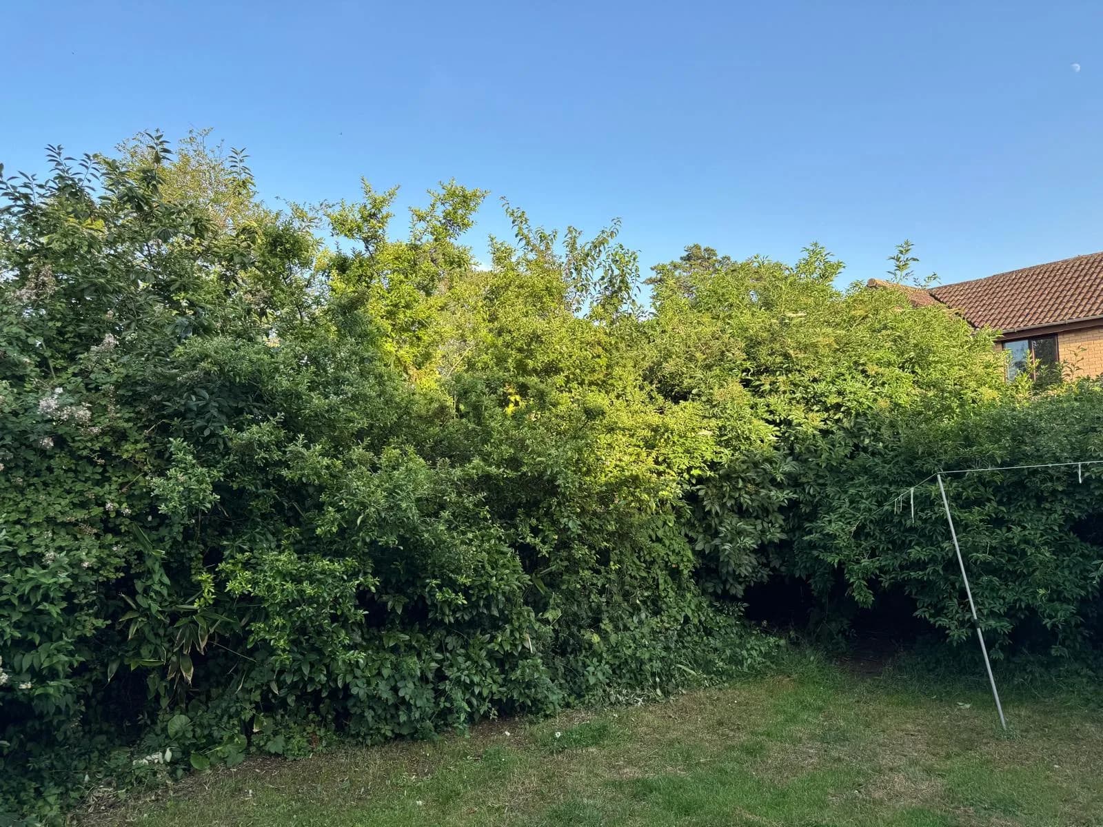 3-Bed House for Rent, photo 3